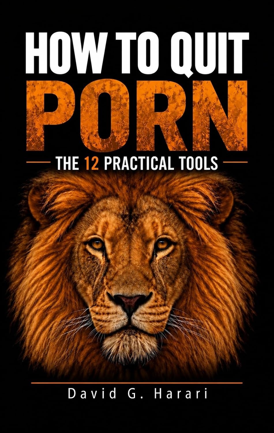 Cover of How To Quit Porn: The 12 Practical Tools